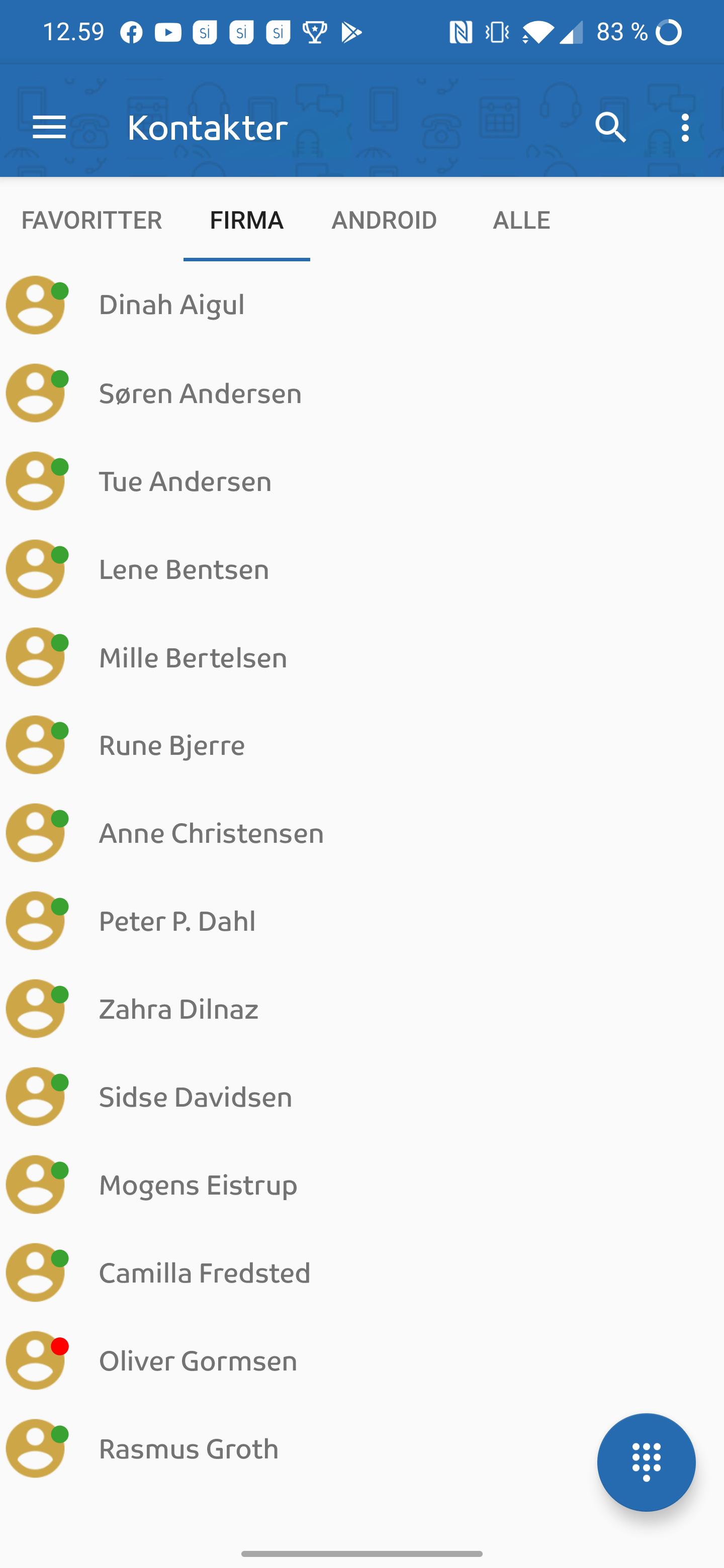 TDC Erhverv P.A