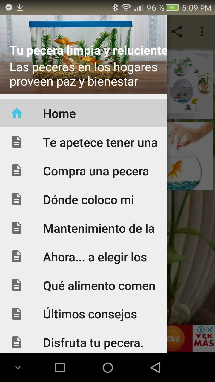 Tu pecera limpia y reluciente