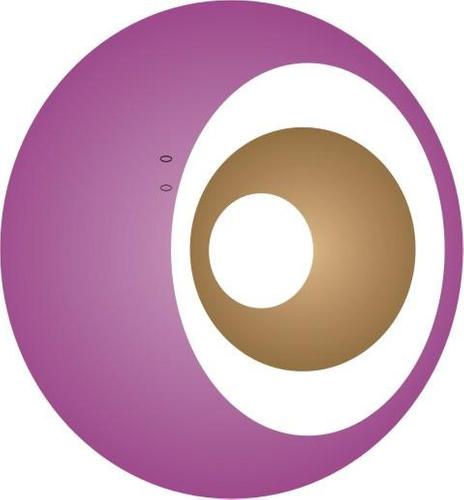 PERFECT TAB PRO - LIC Software