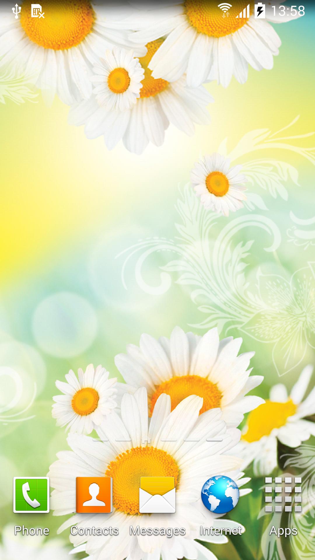 Daisies Live Wallpaper