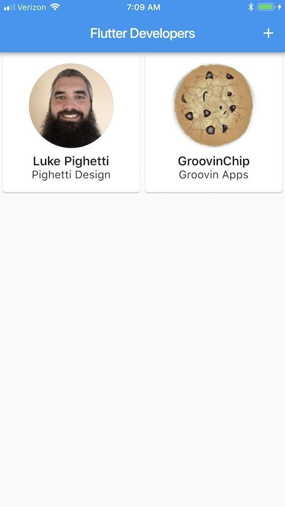 Flutter Developers