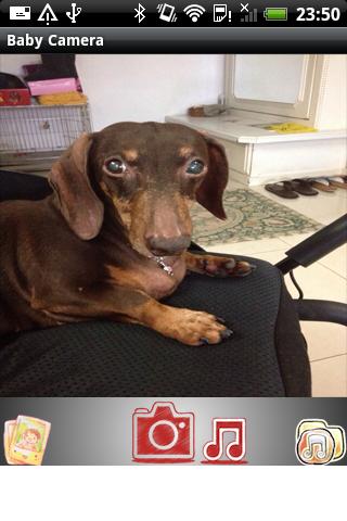 Baby / Pet Camera