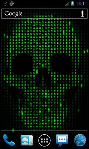 Digital Skull