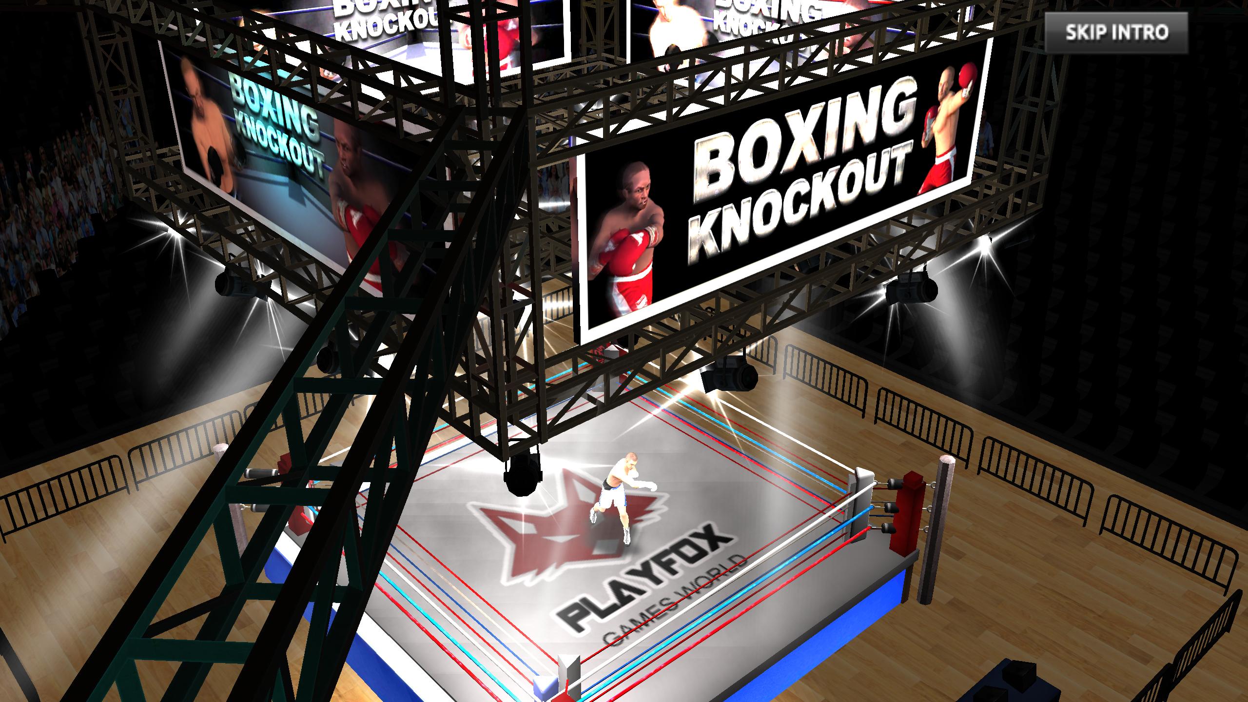 Boxing  Knockout