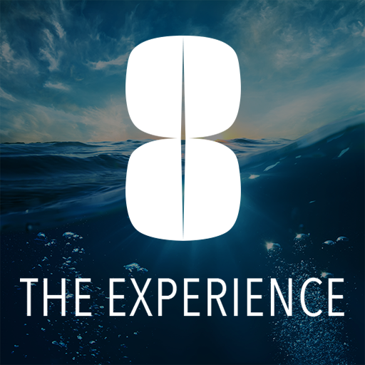 8 The Experience