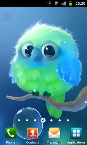 Kiwi The Parrot
