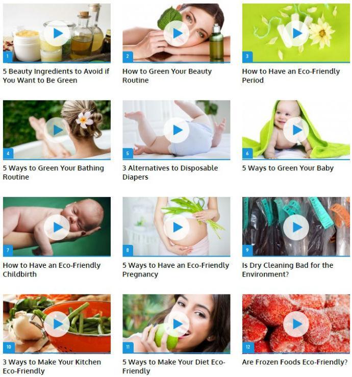 Eco Friendly (Guide)